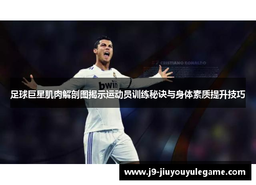 足球巨星肌肉解剖图揭示运动员训练秘诀与身体素质提升技巧