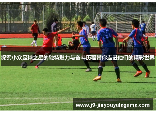 探索小众足球之星的独特魅力与奋斗历程带你走进他们的精彩世界